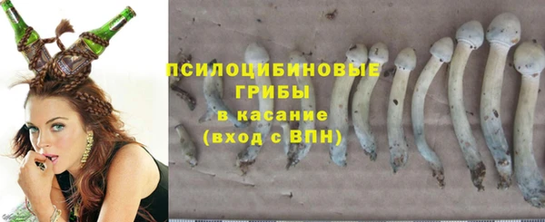 гидропоника Козельск