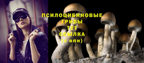 гидропоника Козельск