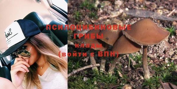 гидропоника Кодинск