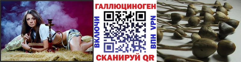 Псилоцибиновые грибы Magic Shrooms  Купить где  Зеленоградск 